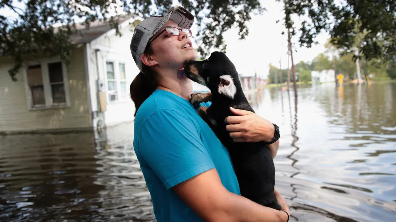 Las autoridades enfatizan que la adopción responsable es clave para la recuperación emocional de las mascotas. -Crédito Getty images