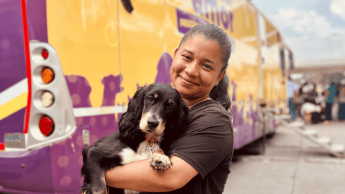 El alcalde Alejandro Eder supervisa la estrategia de protección animal en las zonas de mayor demanda. -Créditos Alcaldía de Cali
