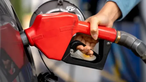 En la foto: Surtidor de gasolina