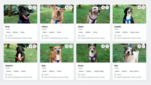 En la foto: Plataforma SuabueSOS