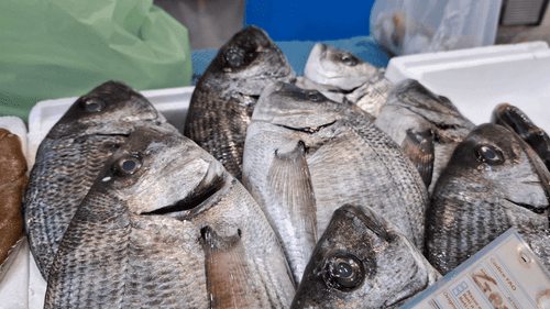 La abstinencia de carnes rojas, una práctica arraigada en la fe católica, impulsa el consumo de pescado en Colombia Créditos Getty Images