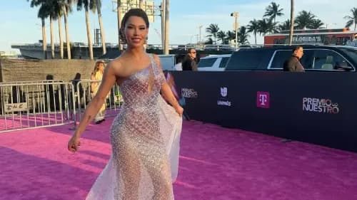 ana del castillo (3).webp